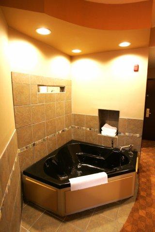 Comfort - Toledo South Hotel
