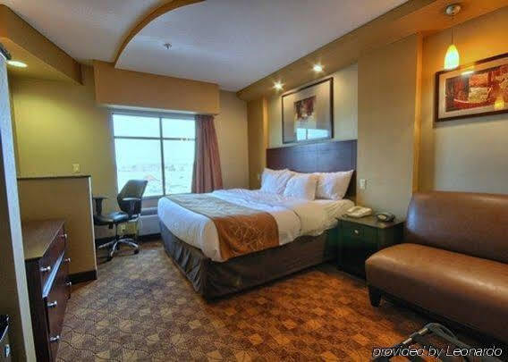 Comfort - Toledo South Perrysburg